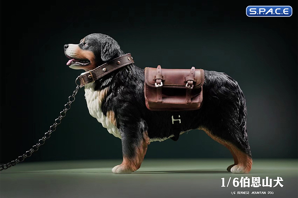 1/6 Scale Bernese Mountain Dog