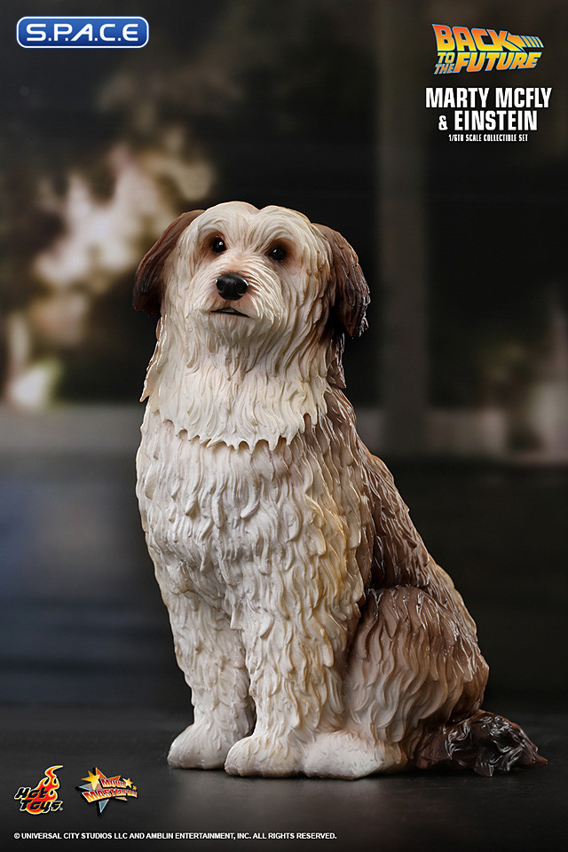 1/6 Scale Marty McFly & Einstein Movie Masterpiece Set MMS573 (Back to the Future)