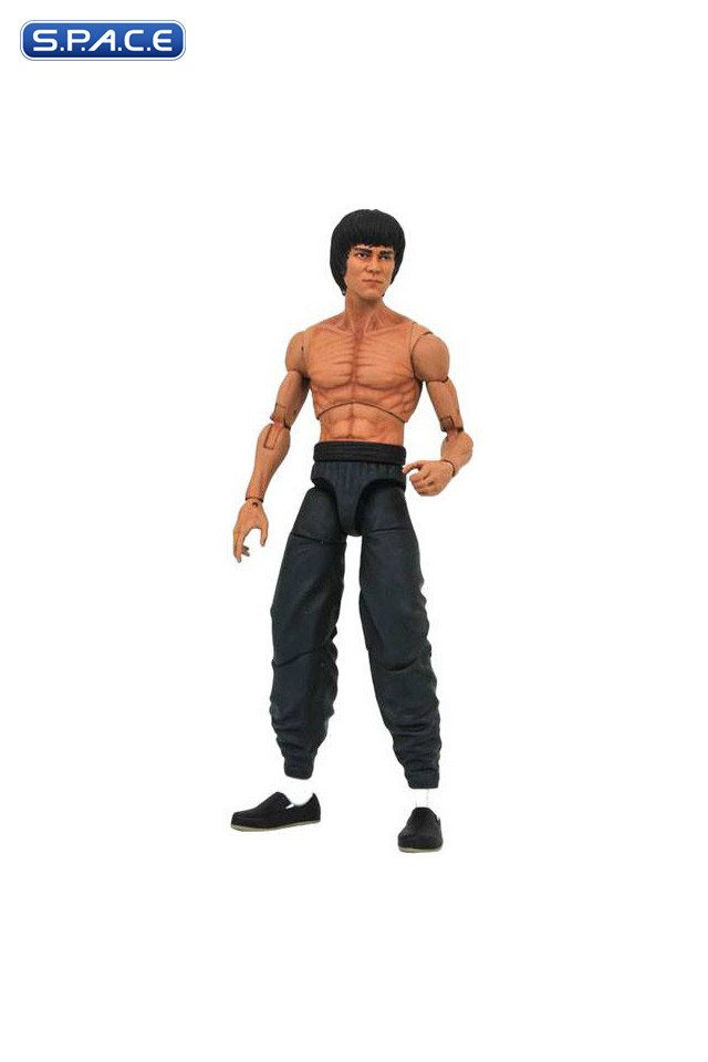 Bruce Lee Select - Walgreens Exclusive (Bruce Lee)