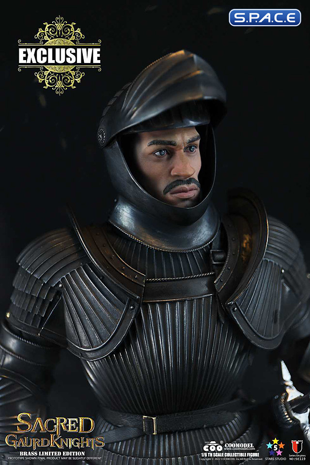1/6 Scale Sacred black Guard Knight - Brass Limited Version