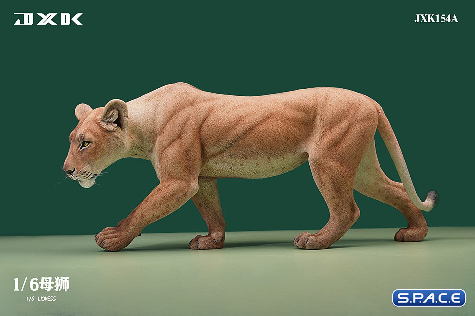 1/6 Scale Lioness Version A
