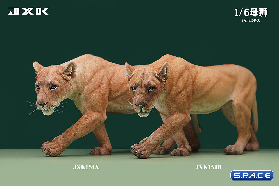 1/6 Scale Lioness Version B