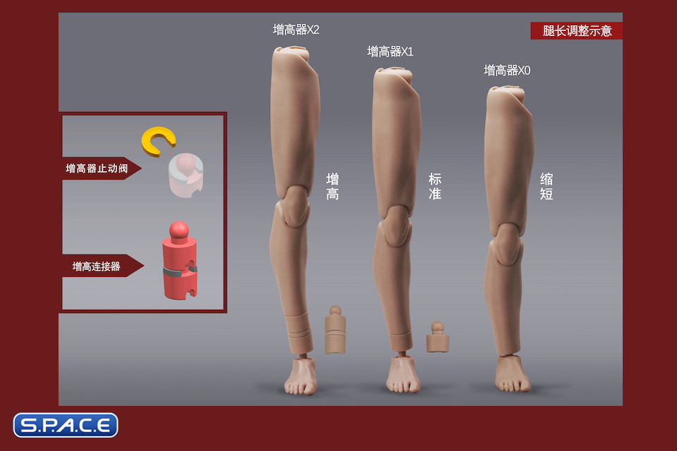 1/6 Scale Male Body MH2201A