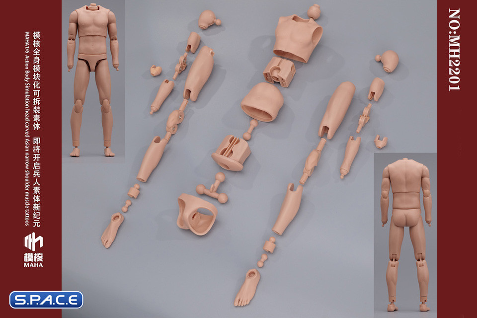 1/6 Scale Male Body MH2201C