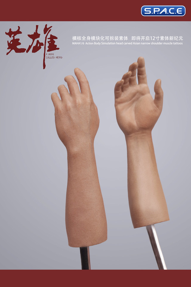 1/6 Scale Arm Set MH2202C