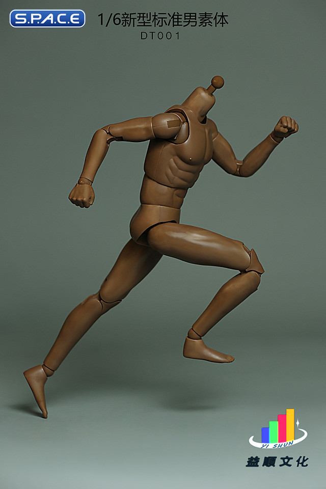 1/6 Scale Standard Male Body - New Type DT001