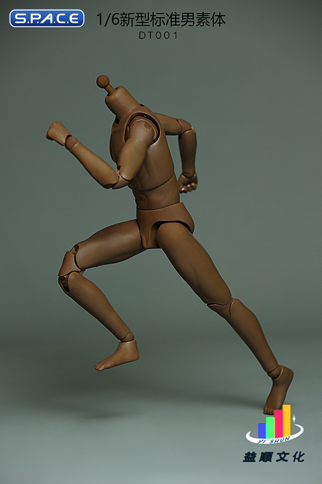 1/6 Scale Standard Male Body - New Type DT001
