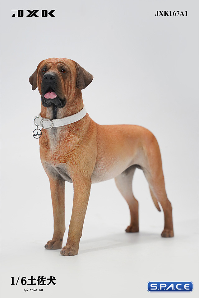 1/6 Scale Tosa Inu Version A1