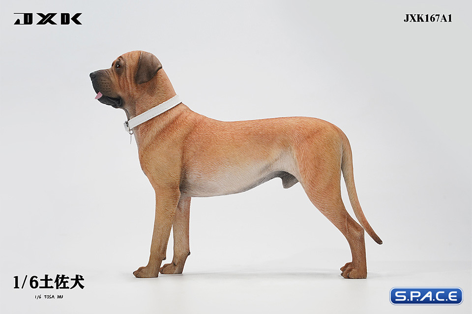 1/6 Scale Tosa Inu Version A1
