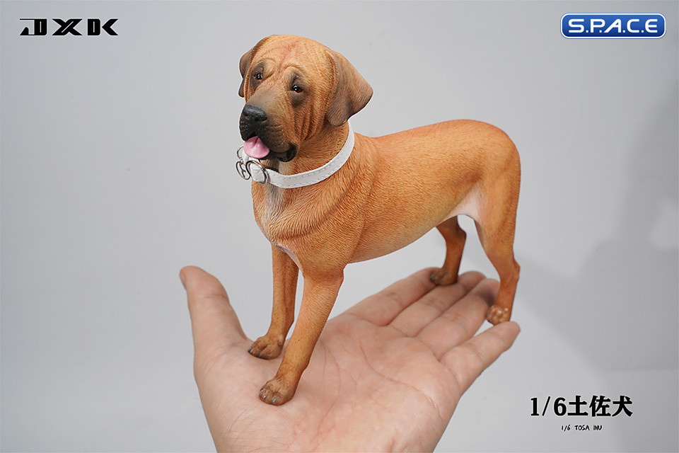 1/6 Scale Tosa Inu Version A2