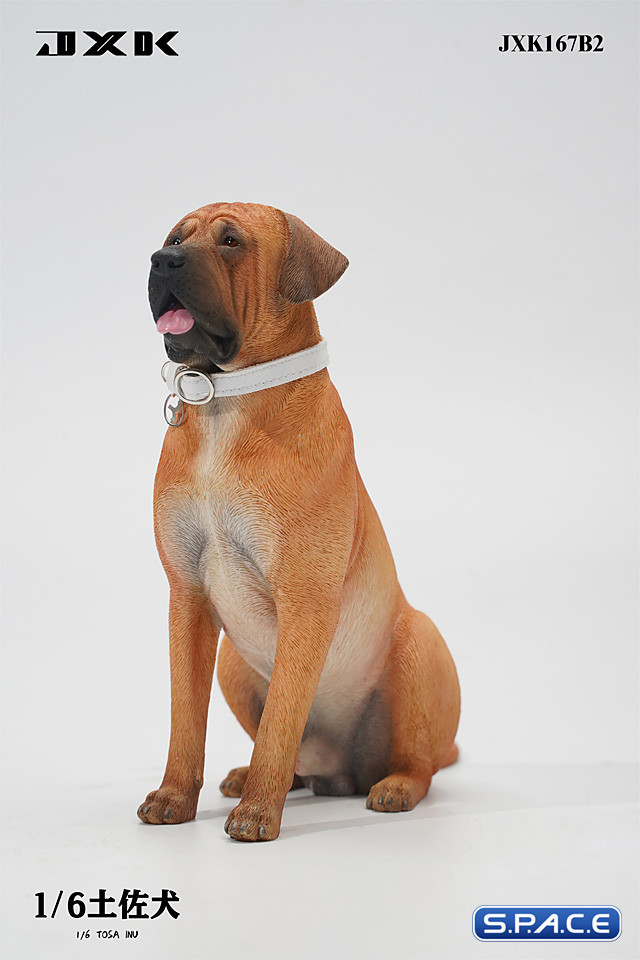 1/6 Scale Tosa Inu Version B2
