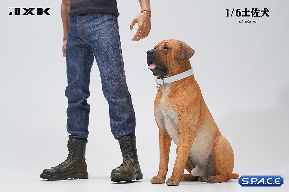 1/6 Scale Tosa Inu Version B2
