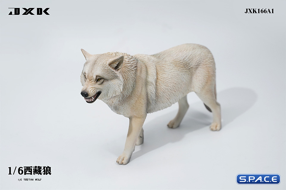 1/6 Scale Tibetan Wolf Version A1