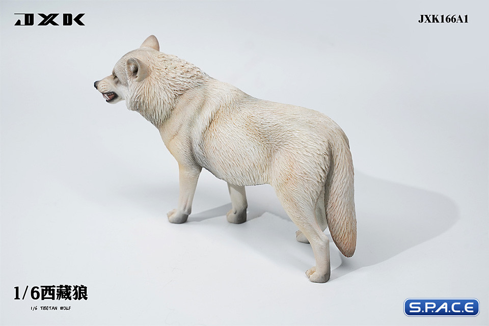 1/6 Scale Tibetan Wolf Version A1