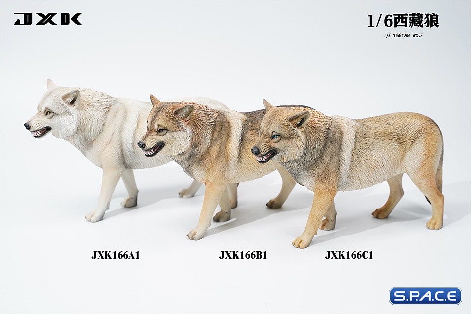 1/6 Scale Tibetan Wolf Version B1