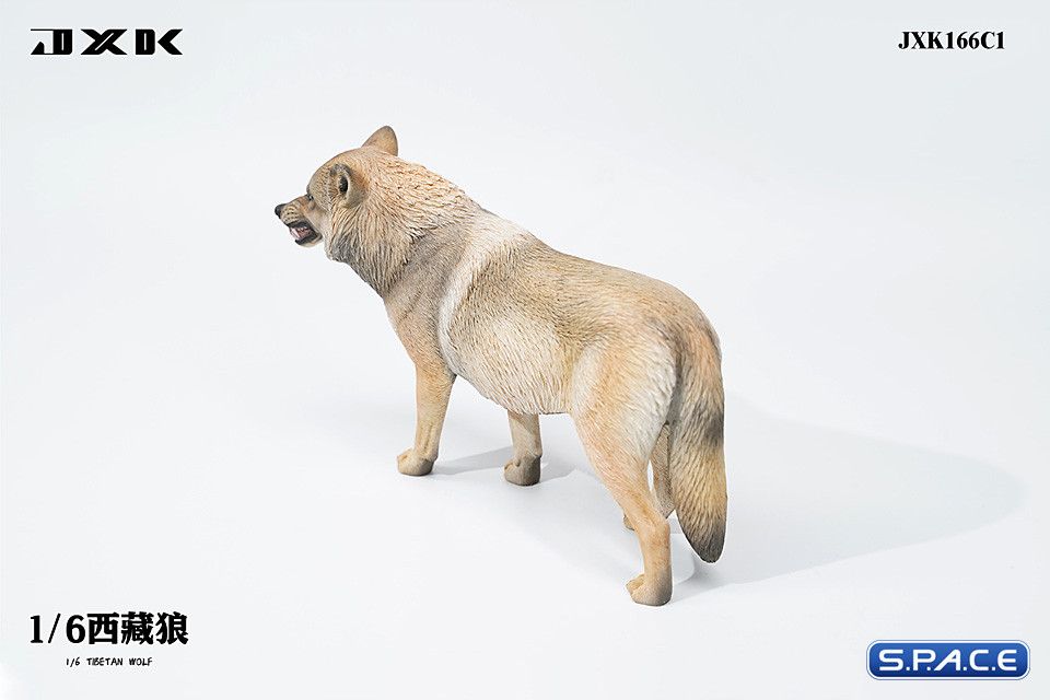 1/6 Scale Tibetan Wolf Version C1
