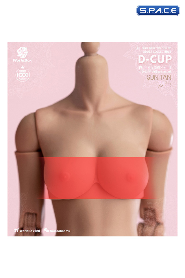 1/6 Scale upper body D-Cup (suntan)