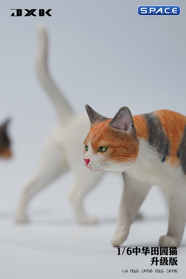 1/6 Scale Felis Catus Version D