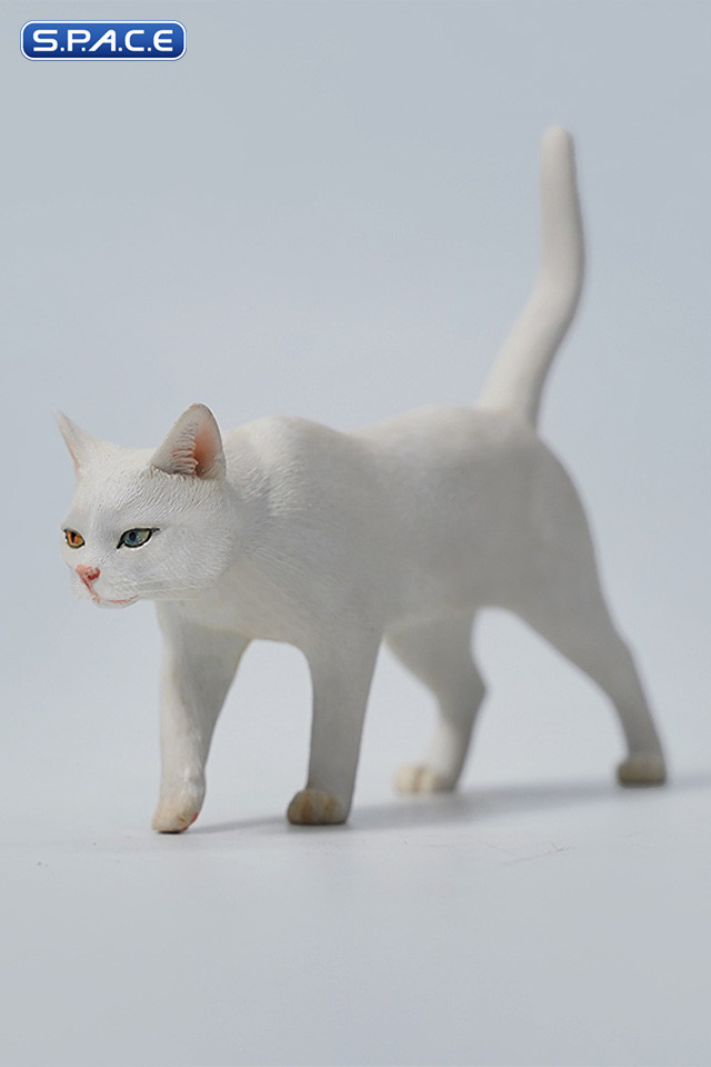 1/6 Scale Felis Catus Version E