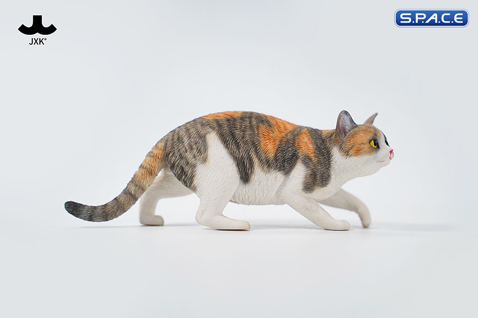 1/6 Scale Felis Catus 3.0 Version A2