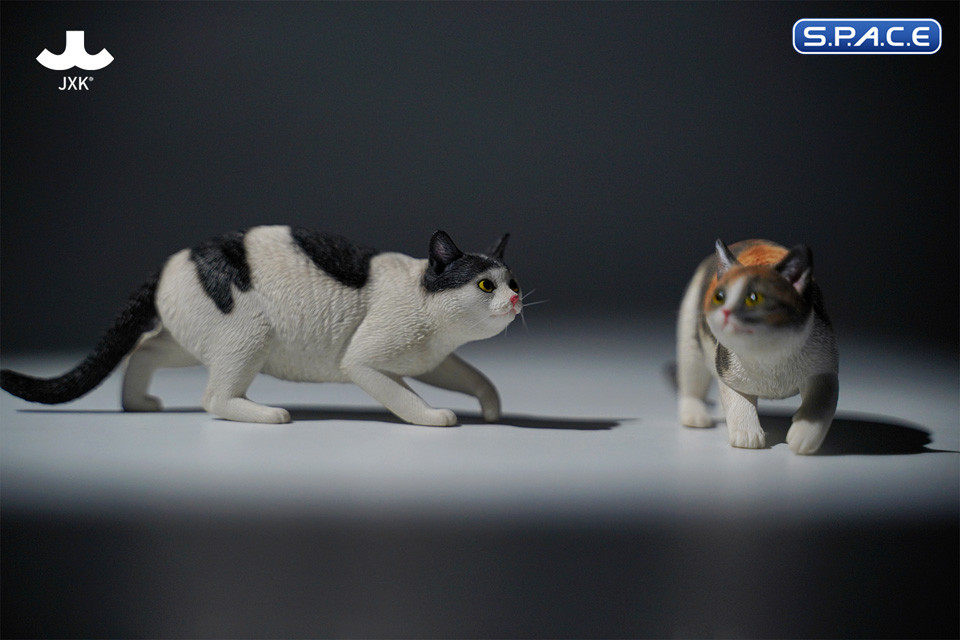 1/6 Scale Felis Catus 3.0 Version A2