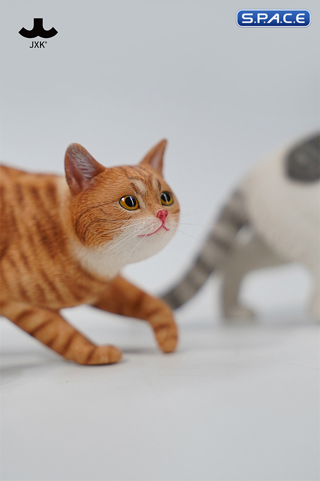 1/6 Scale Felis Catus 3.0 Version A3