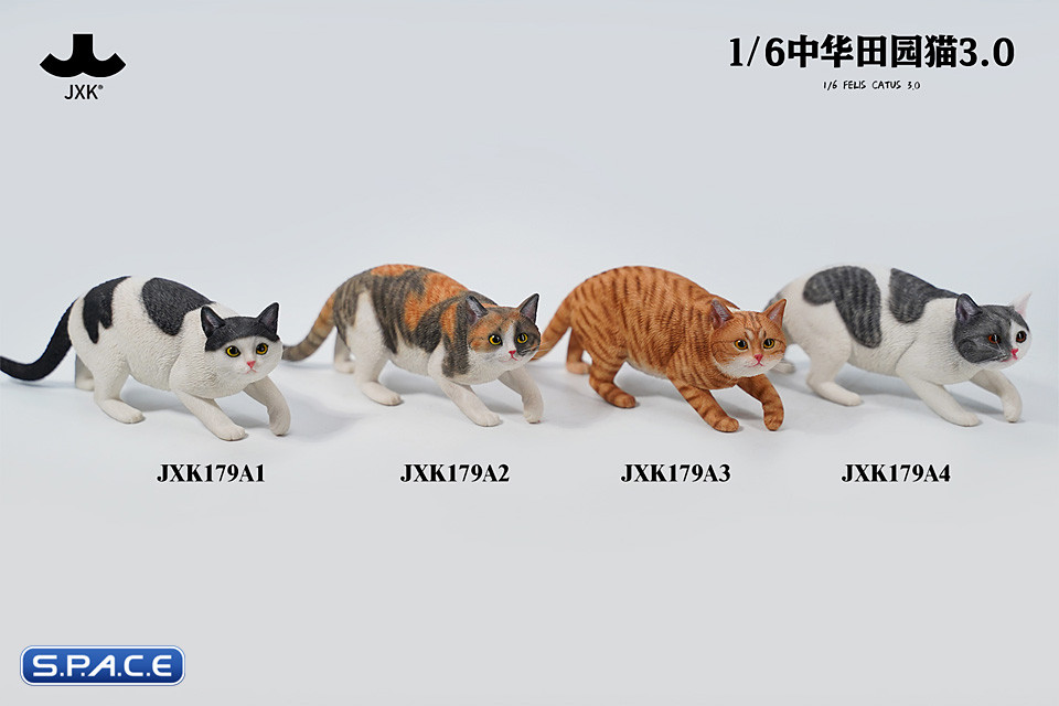 1/6 Scale Felis Catus 3.0 Version A3