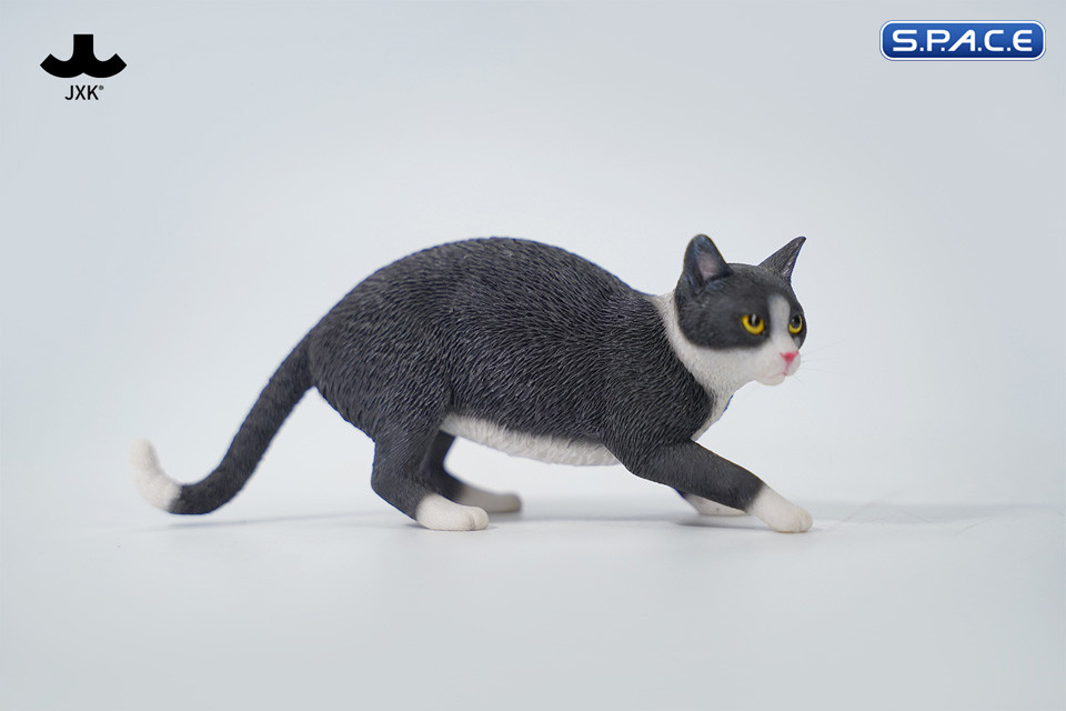 1/6 Scale Felis Catus 3.0 Version B2