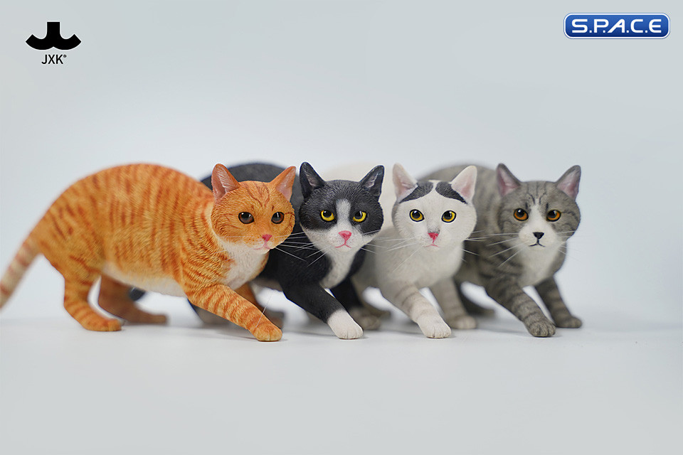 1/6 Scale Felis Catus 3.0 Version B2