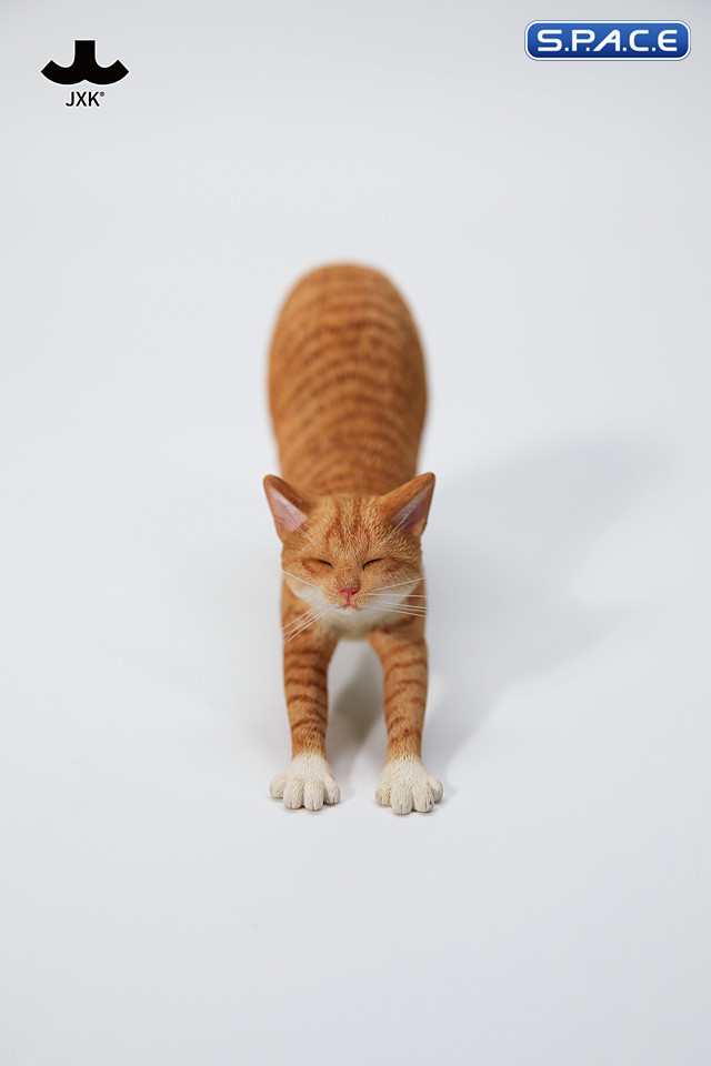 1/6 Scale stretching Cat Version C
