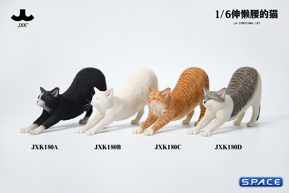 1/6 Scale stretching Cat Version C