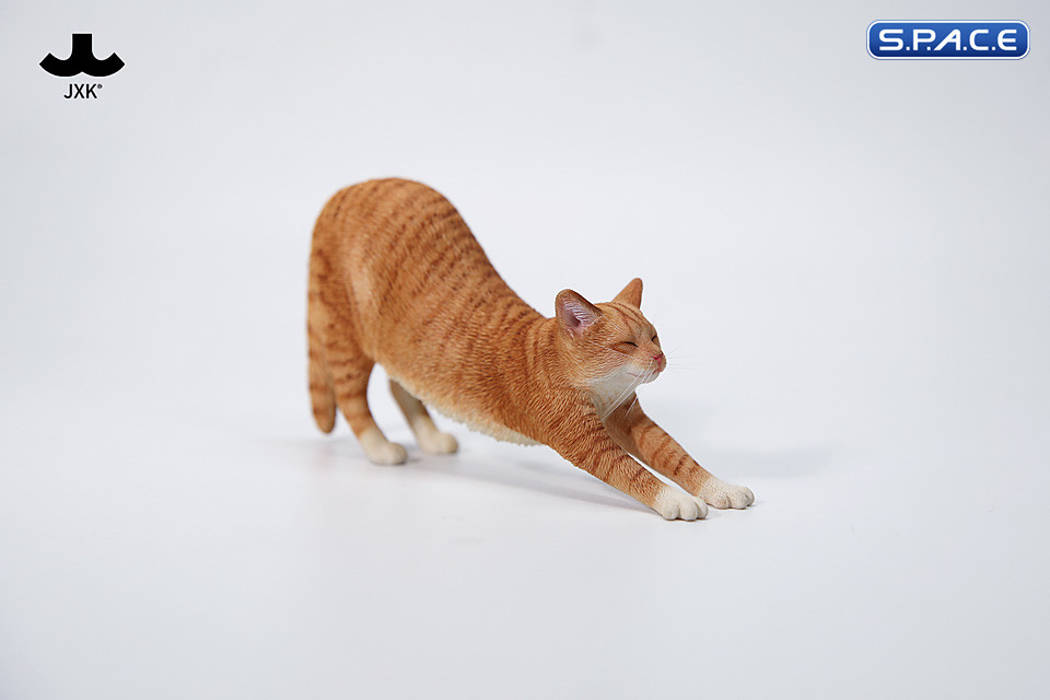 1/6 Scale stretching Cat Version C