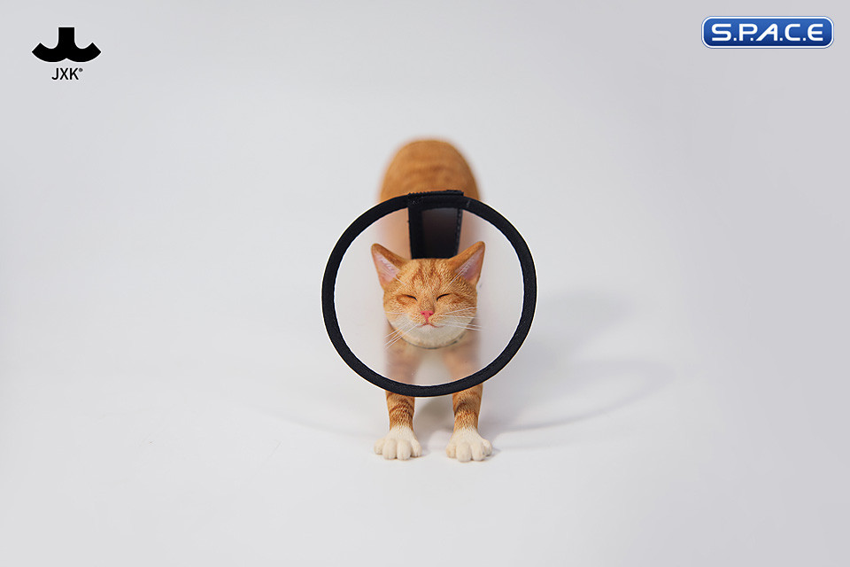 1/6 Scale stretching Cat Version C