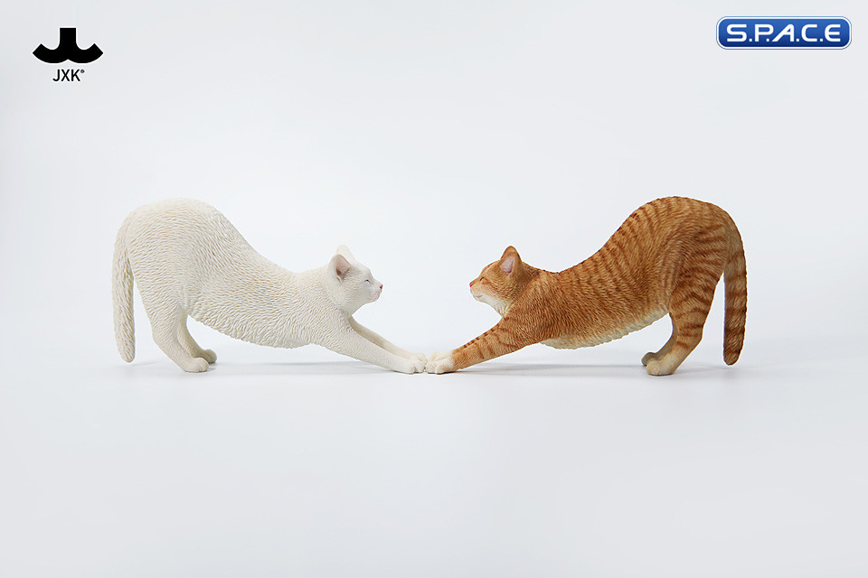 1/6 Scale stretching Cat Version C