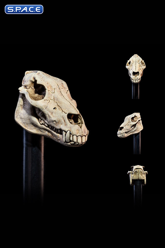 Undead Head Pack (Mythic Legions)