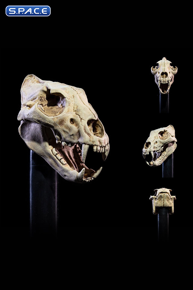 Undead Head Pack (Mythic Legions)