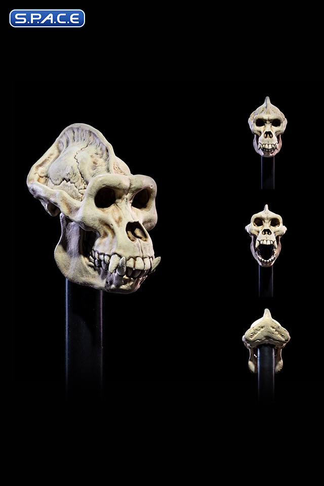 Undead Head Pack (Mythic Legions)