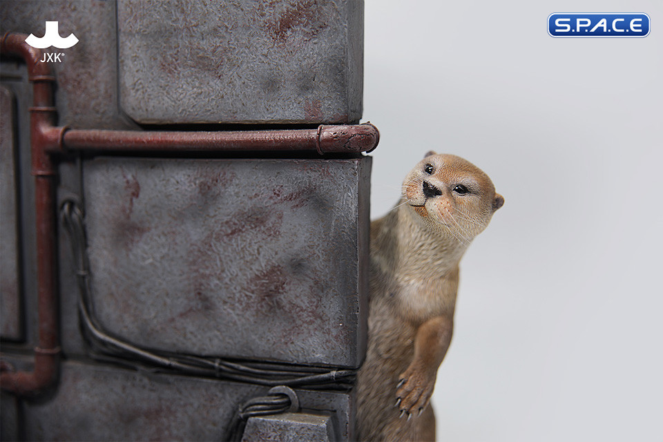 1/6 Scale Otter (brown)