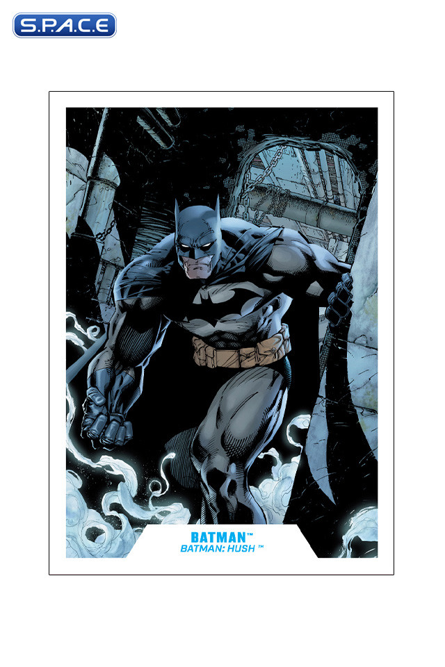Batman Hush Black & Grey Suit (DC Multiverse)