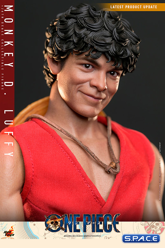 1/6 Scale Monkey D. Luffy TV Masterpiece TMS109 (One Piece)