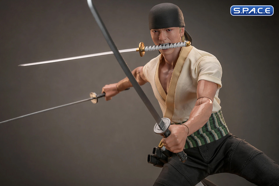 1/6 Scale Roronoa Zoro TV Masterpiece TMS110 (One Piece)