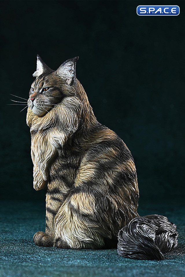 1/6 Scale sitting Maine Coon (brown)