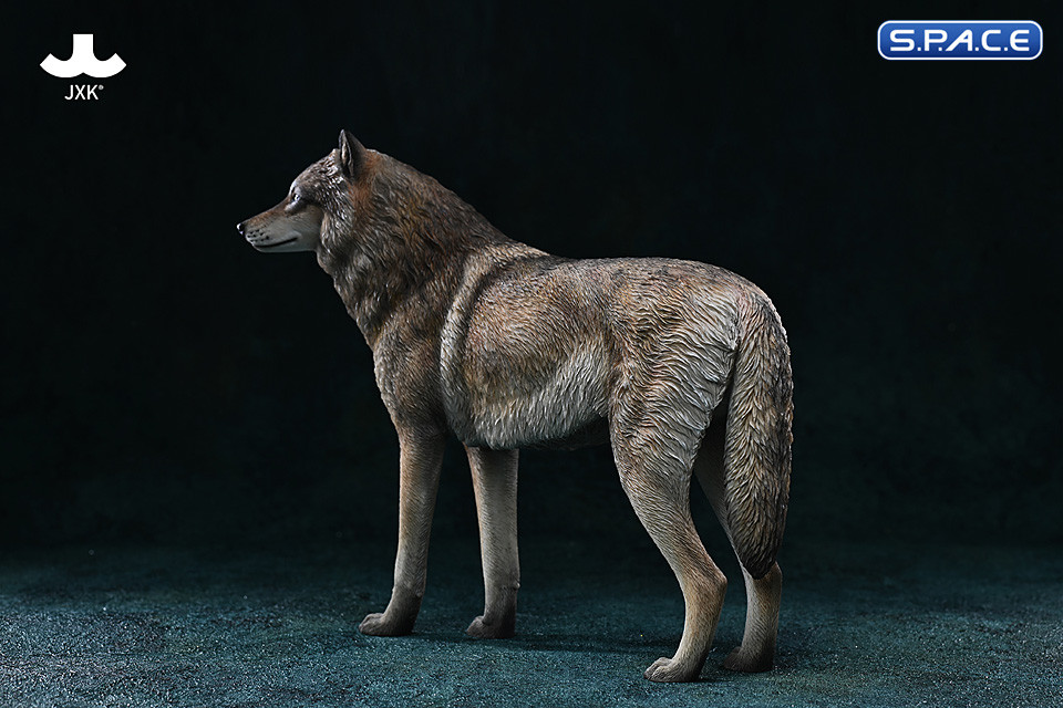 1/6 Scale Arctic Wolf Version D