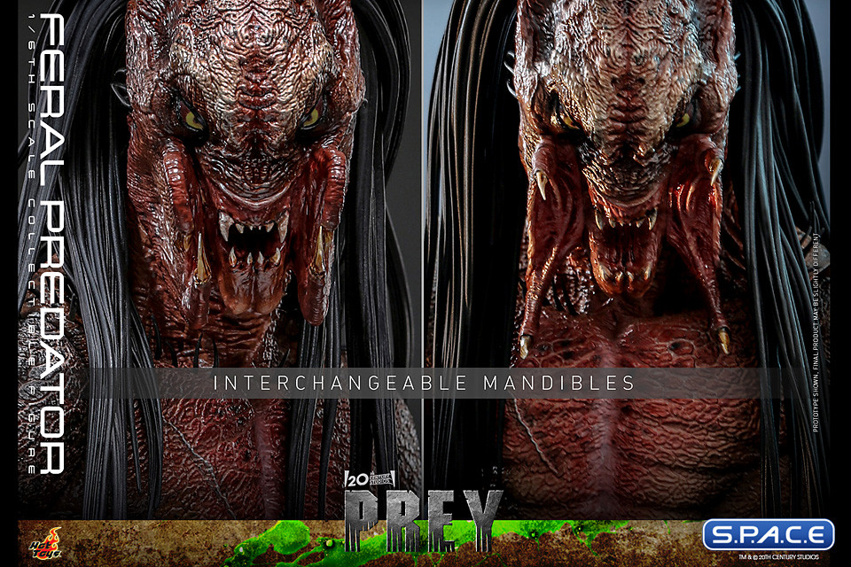 1/6 Scale Feral Predator TV Masterpiece TMS114 (Prey)
