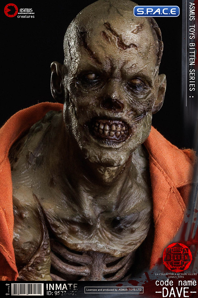 1/6 Scale Code Name Dave (Bitten)