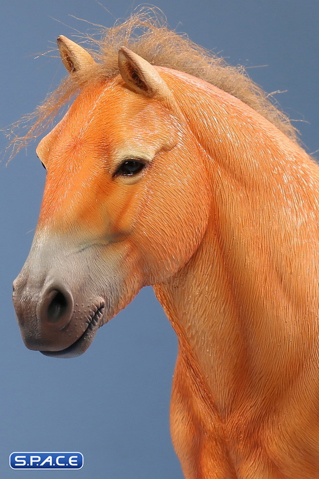 1/6 Scale Mongolica Horse Version 5