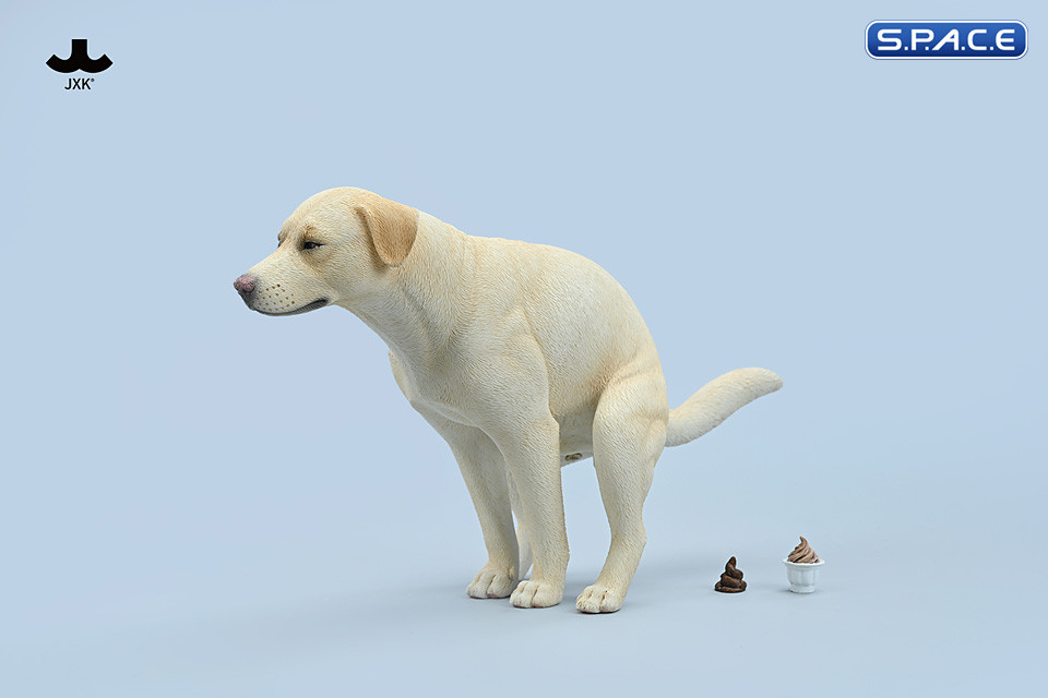 1/6 Scale pooping Labrador Version C
