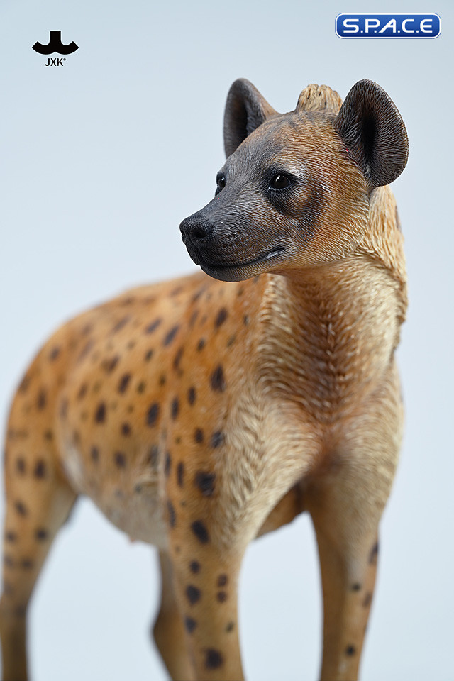 1/6 Scale Hyena Version B2
