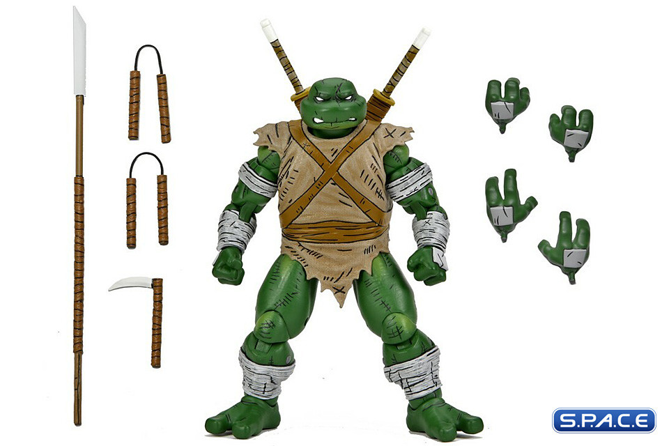 Michelangelo The Wanderer (Teenage Mutant Ninja Turtles)