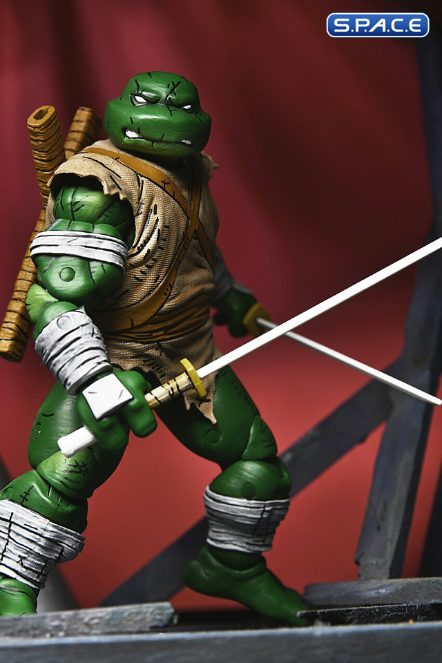 Michelangelo The Wanderer (Teenage Mutant Ninja Turtles)